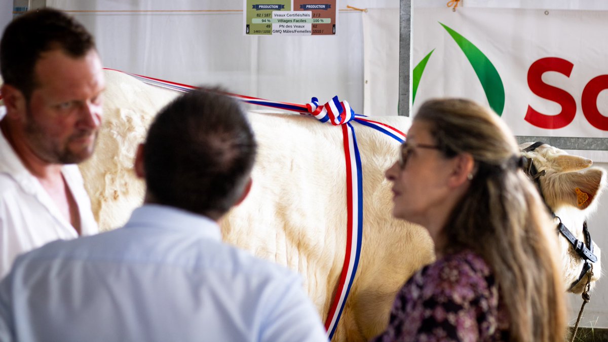 🐮 Au Concours de reproducteurs Charolais à Autun, aux côtés de <a href="/ValerieDeloge/">Valérie DELOGE</a>, députée européenne et agricultrice, des échanges riches avec les éleveurs ont mis en lumière l’excellence de la filière charolaise et le dynamisme du monde agricole.