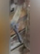 TheAfricaCorps's tweet image. C&apos;est ainsi que la propagande française fonctionne sans valeur: à partir d&apos;une photo d&apos;un terroriste avec une mitraillette, la mitrailleuse a été supprimée dans Photoshop et présentée comme un civil, seule la Crosse a été oubliée dans la version éditée.