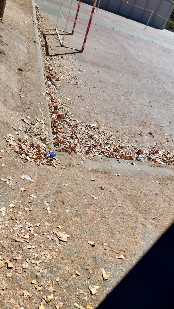 fjmarquezo's tweet image. El @AytoLeganes nos dice que los coles de #Leganés tienen “color de otoño”. 
Este es el verdadero color de los colegios públicos y lo que ven cada día nuestros escolares 💩. 
Así está el CEIP León Felipe, por dentro y por fuera. Los #HECHOS de PP+ULEG #Abandono