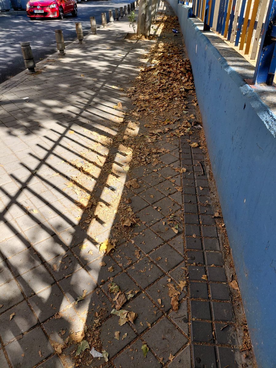 fjmarquezo's tweet image. El @AytoLeganes nos dice que los coles de #Leganés tienen “color de otoño”. 
Este es el verdadero color de los colegios públicos y lo que ven cada día nuestros escolares 💩. 
Así está el CEIP León Felipe, por dentro y por fuera. Los #HECHOS de PP+ULEG #Abandono