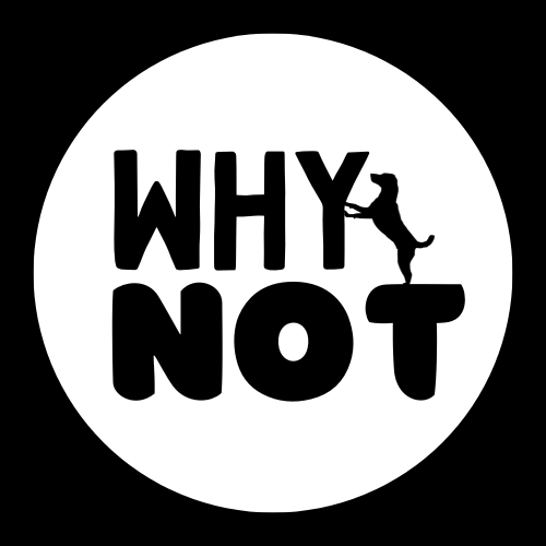 WhyNotEcosystem's tweet photo. 3 Steps to success 
WHYNOTCOINS All the way 
https://t.co/cMND53MzRO https://t.co/3GDILDhnSf