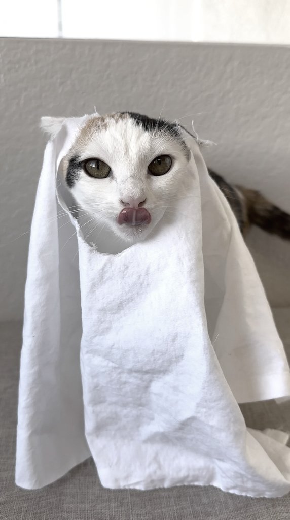 "Geister existieren nicht!"

Die Geister: