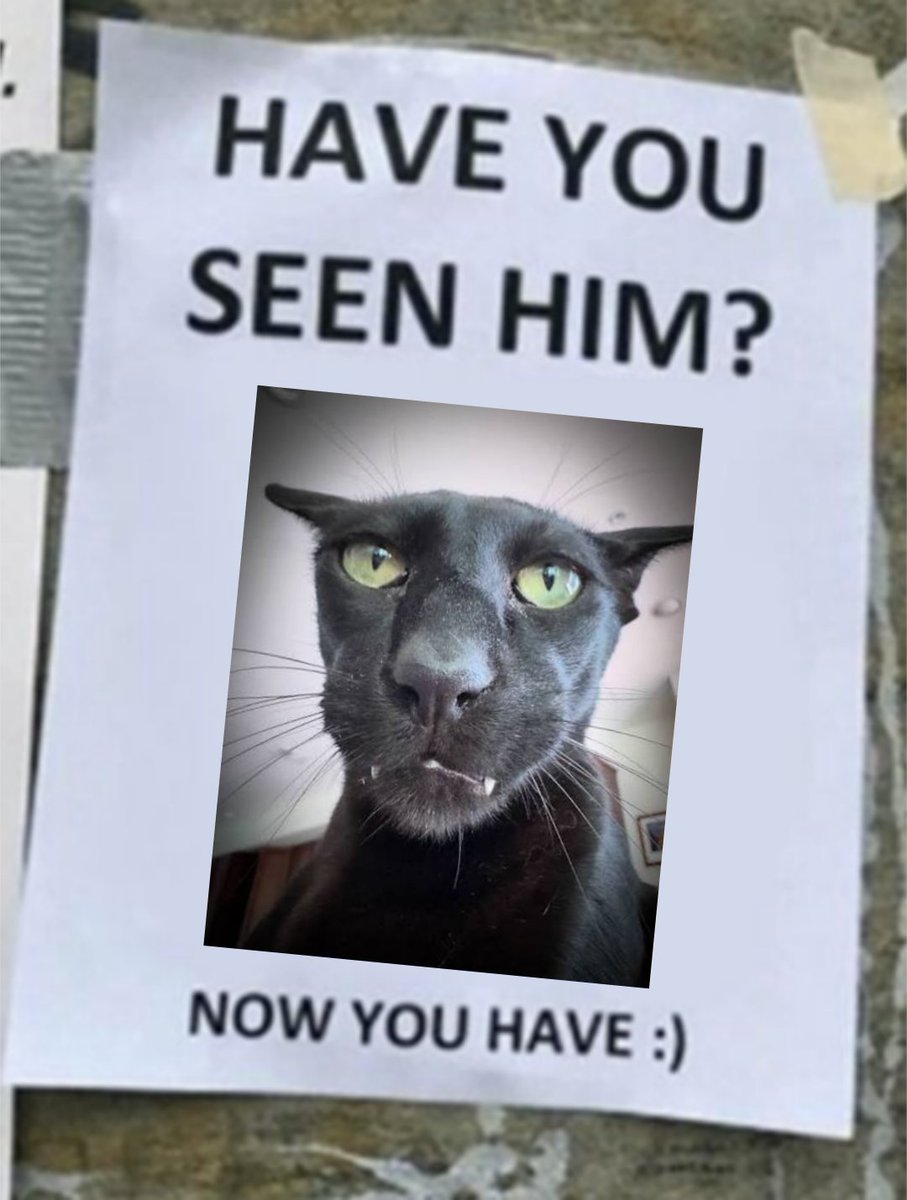 did u miss me? Oh there I am $LARRY