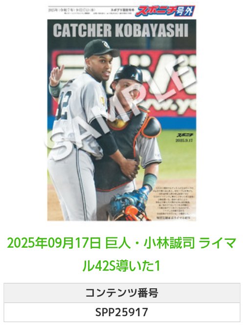 非売品　巨人　小林誠司　布　ポスター　タペストリー 非売品巨人小林誠司布ポスタータペストリー