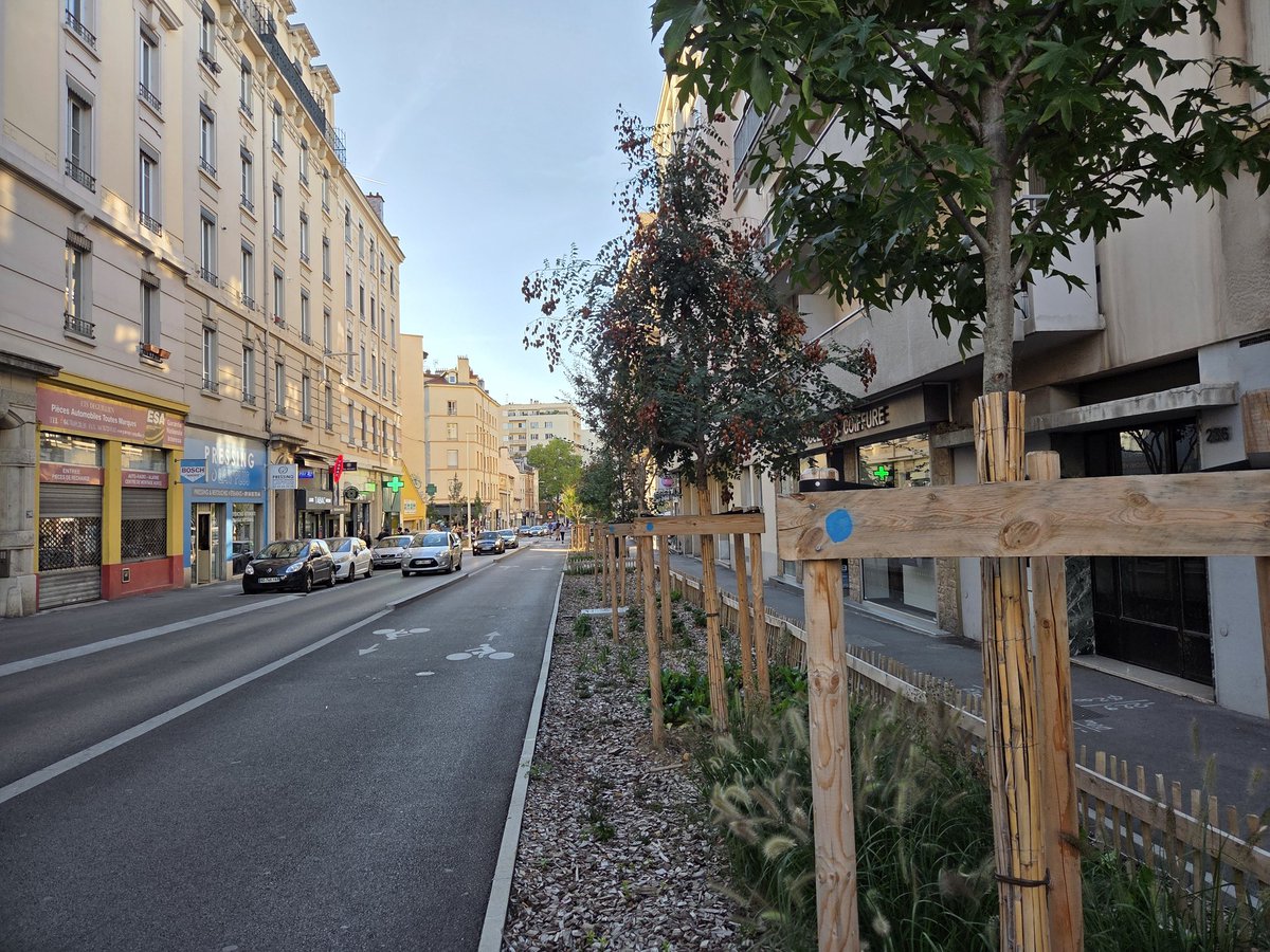 QBareille's tweet image. Lyon réaménagement d&apos;un tronçon de la grande rue de la Guillotière 🌱🚲🌳