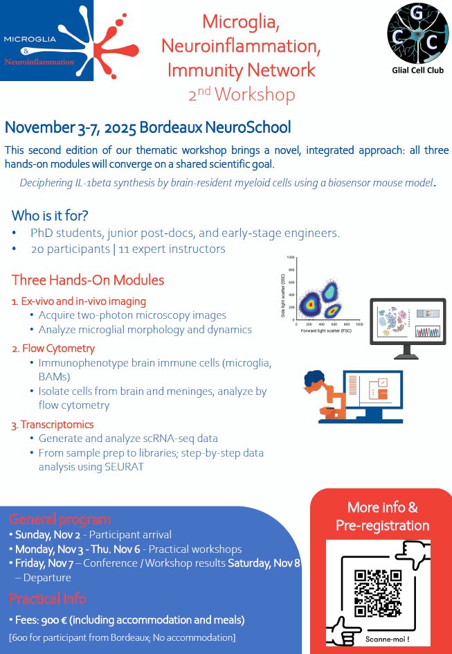 Strengthening the European glia community! 
Two upcoming meetings from our national networks:

Warsaw Glia Symposium (16–17 Oct, Warsaw) 
<a href="/WarsawGliaComm/">Warsaw Glia Community</a>

Microglia Workshop (3–7 Nov, Bordeaux)
…b-de-cellules-gliales.assoconnect.com/collect/descri…

More events: networkglia.eu/calendar/