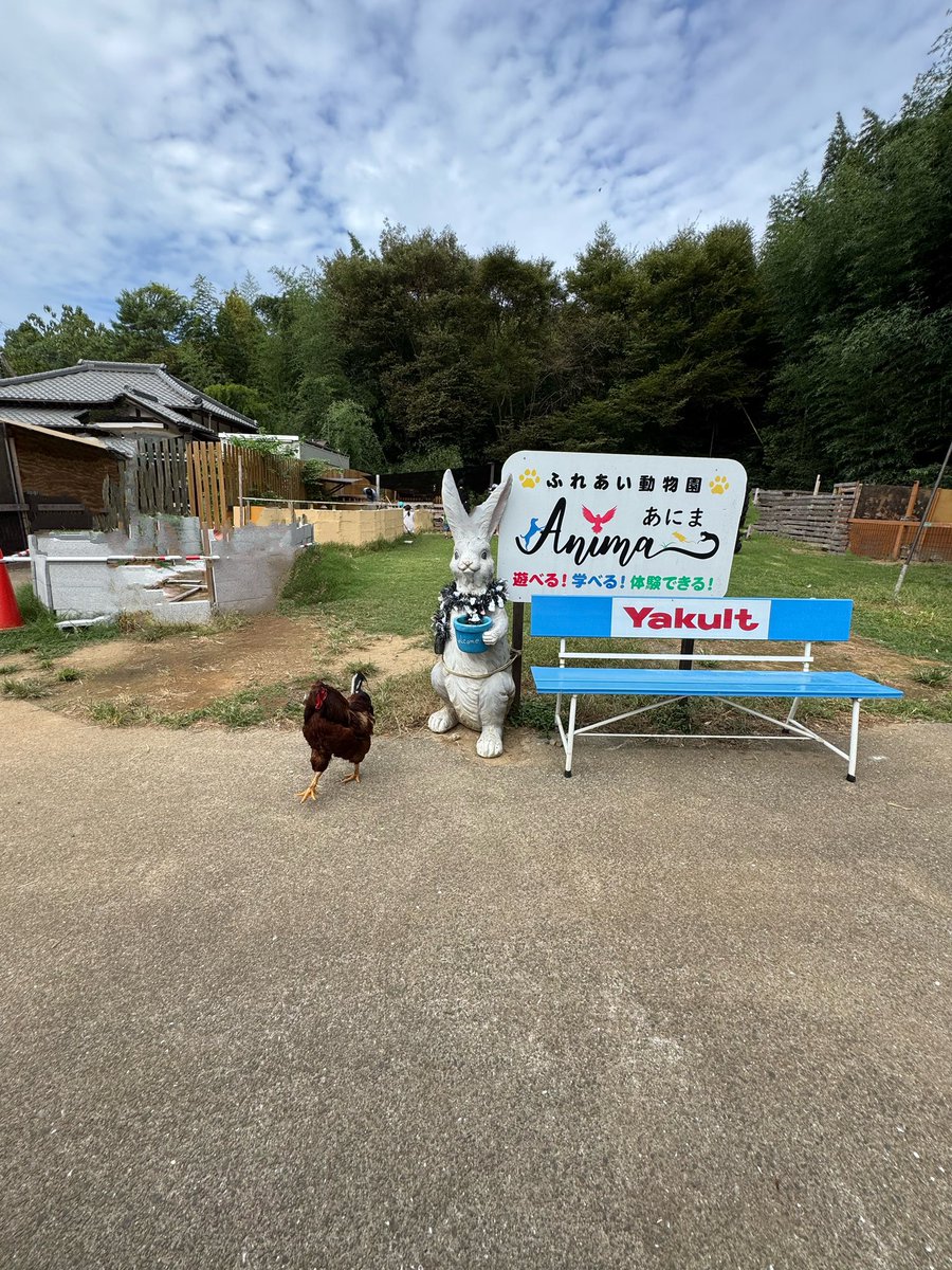 野田さんが牛久に来た〜🩷
ホーリー🐶ウユ🐶に
優しくしてくれて　
ありがとう🐶🐶
 #野田草履Ｐ 
 #野田草履
 #ツイキャス
 #日本スピッツホーリーウユ