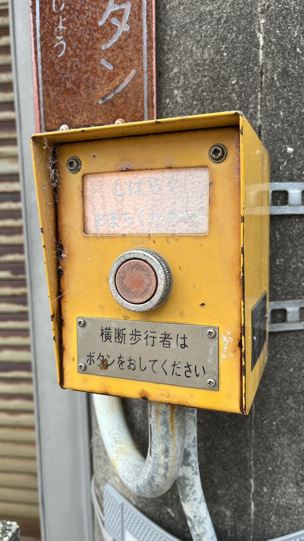 信号電材❗️レア❗️押しボタン❗️ Amazon.co.jp: ティーグルブラン バイク スケルトン スイッチ