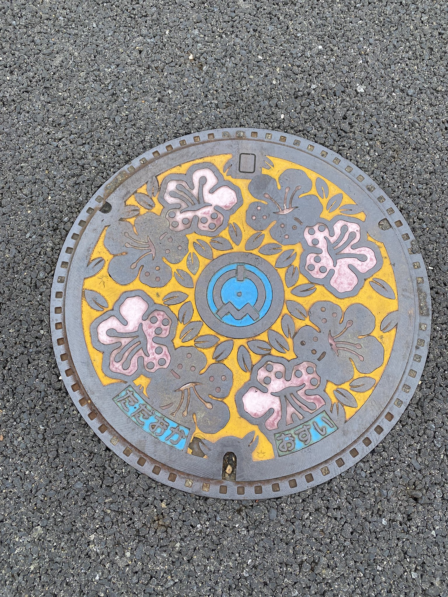 マンホール 阪急茨木市駅・東口商店街 #manhole #manholecovers #マンホール