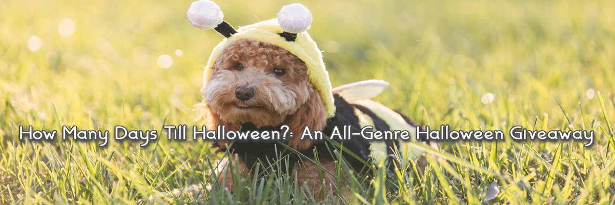 LillyRayman0007's tweet photo. Are you ready for Halloween?  
https://t.co/QlMyenwKYJ
#booksky #writer #paranormalromance https://t.co/jrnCHnV94K