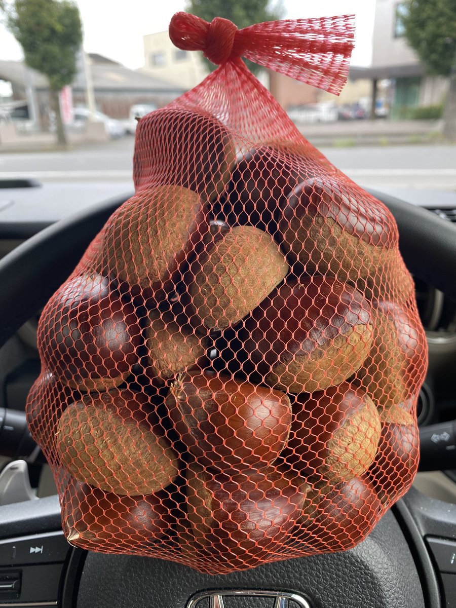 筑波山の梁田農園さんで4Lサイズの栗を買った。
毎年この時期のお楽しみ😏