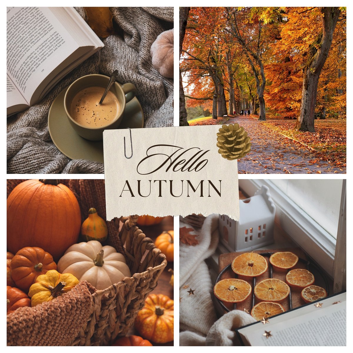 GlobalViewSC's tweet image. Happy First Day of Fall! As seasons change, review your finances. Like a tree shedding leaves for winter, let go of what no longer benefits you and prepare for the future. We're here to help you turn a new leaf and ensure your portfolio is ready for upcoming seasons. #GlobalView