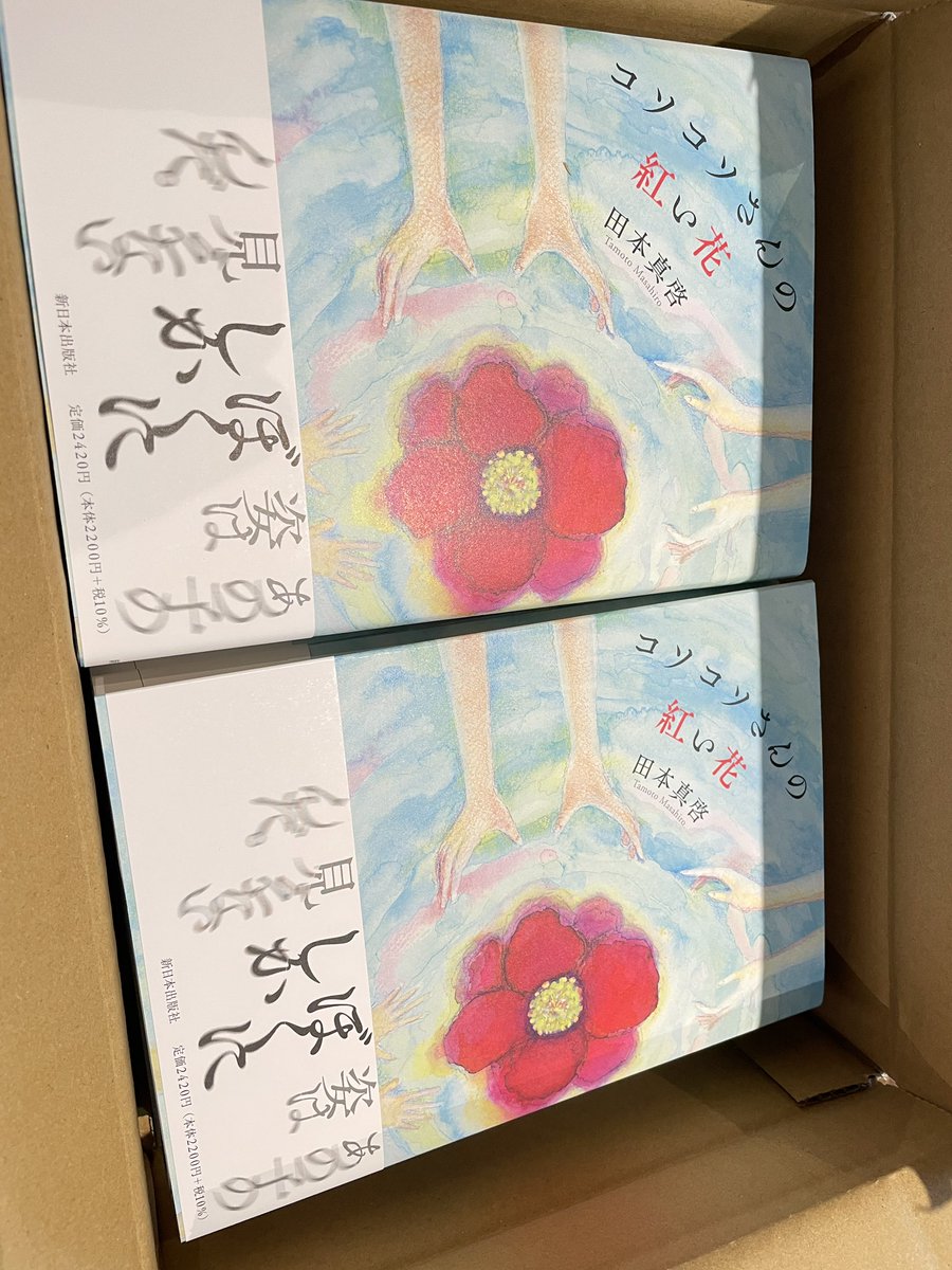 kyklopsketch's tweet image. 当店でも「コソコソさんの紅い花」お買い求め可能です！

#コソコソさの紅い花
#コソコソさん