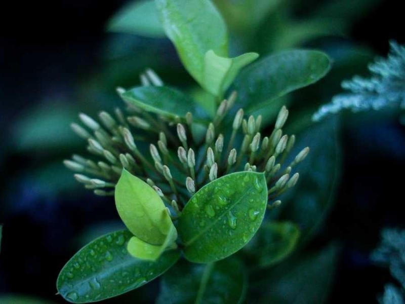 Ashish_1549's tweet image. 🧩 Random Post #NotFunny #JustRandom