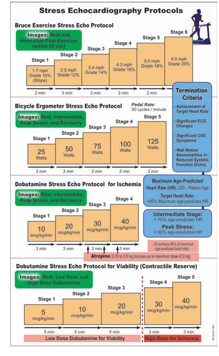 Stress Echocardiography Protocols
Read it. Save it. Share it 😍
