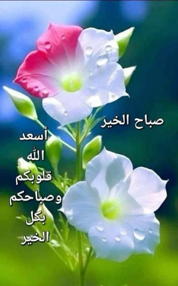 قدم لـ قلبك مايليق بـ مقامه ؛
علمه الحب ؛ علمه الخير و الرحمة و الإنسانية "..
اجعل من قلبك وردة لا تفوحُ إلا حبًا..♥️
صباح الخير 🌹🌹