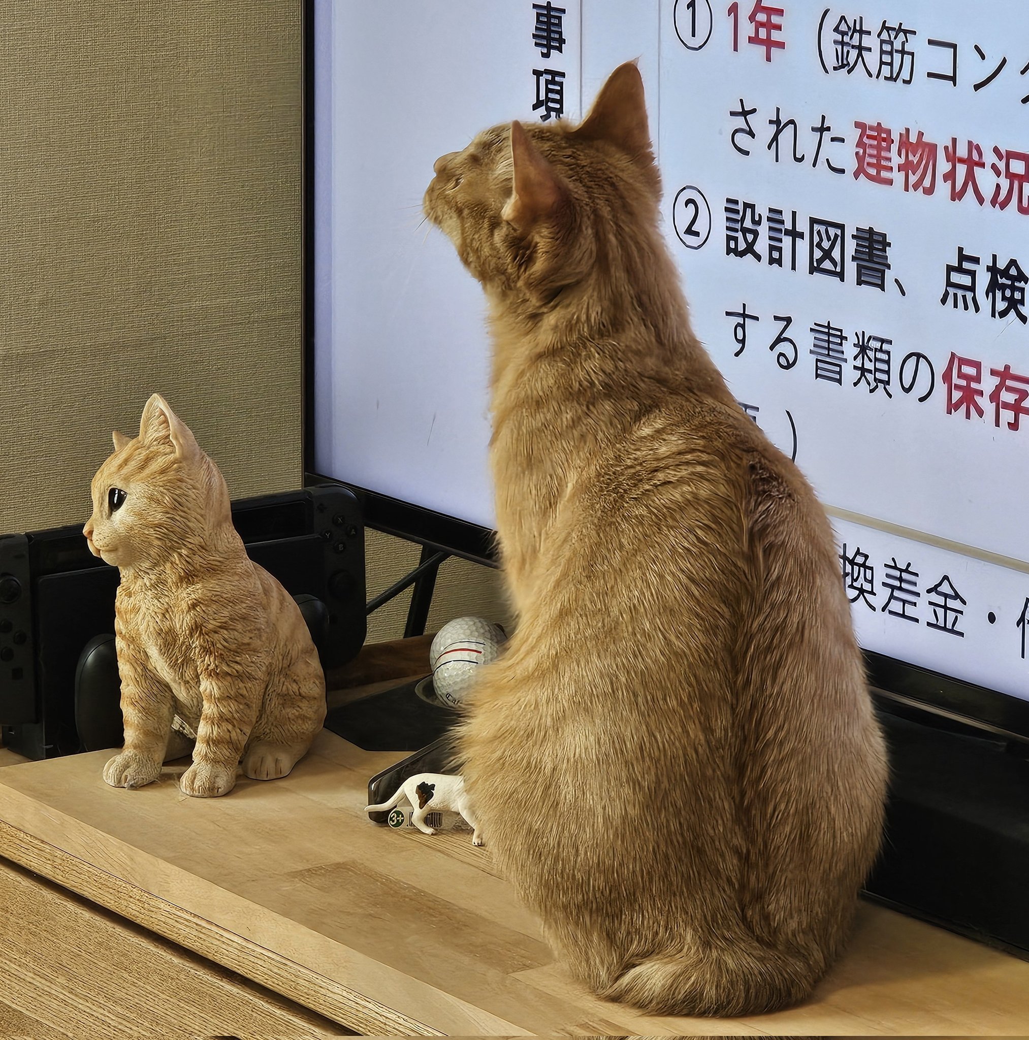 ブライスアウトフィット　着ぐるみトラネコちゃん（茶トラ） ブライスアウトフィット 着ぐるみトラネコちゃん （茶トラ）