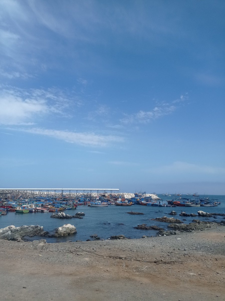 claudiapancitoX's tweet image. Eu estou muito feliz porque hoje começou a temporada de primavera, e venho compartilhar estas fotos desta mesma data, de um ano atrás. Além disso, minha corrida primaveril de hoje. Amooo!
# feliz primavera! 💐💛
#ayearago #equinoccio