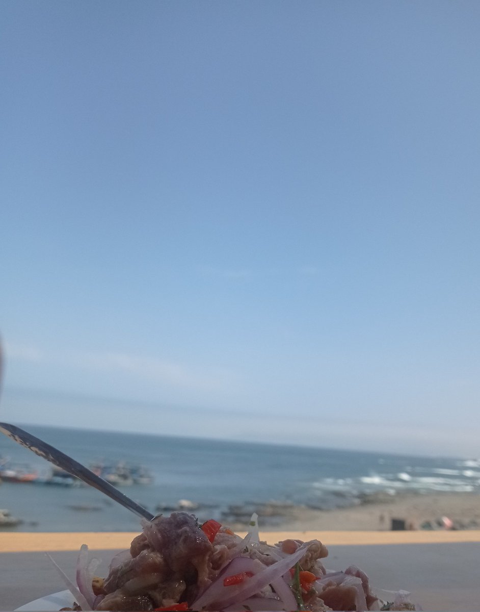 claudiapancitoX's tweet image. Eu estou muito feliz porque hoje começou a temporada de primavera, e venho compartilhar estas fotos desta mesma data, de um ano atrás. Além disso, minha corrida primaveril de hoje. Amooo!
# feliz primavera! 💐💛
#ayearago #equinoccio