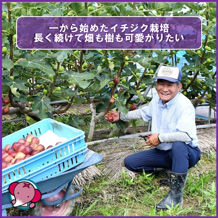 【しんいちページ】 販売終了】PZ-721 - イノベイティブ販売