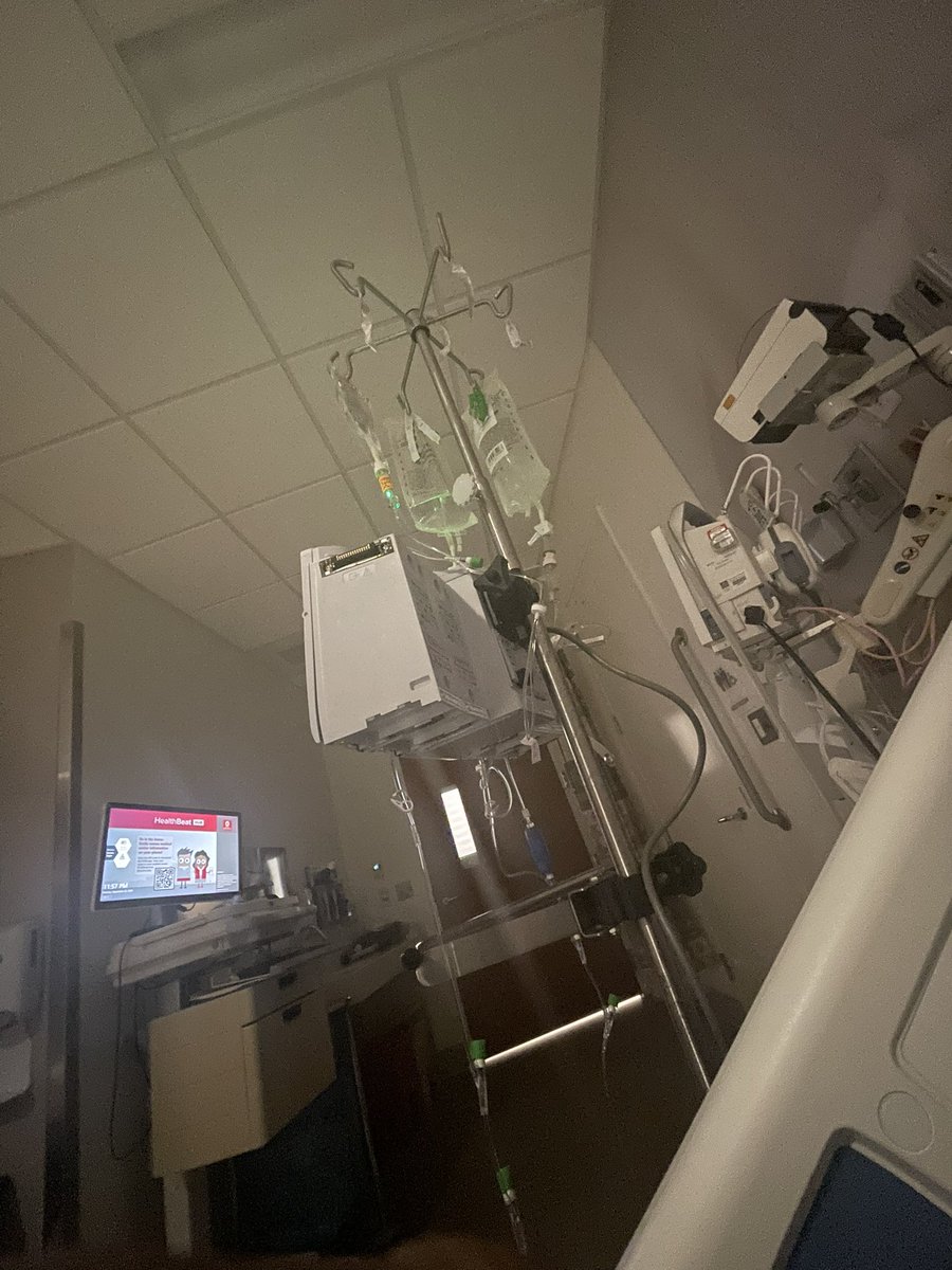 Tyler 🐅 tweet media