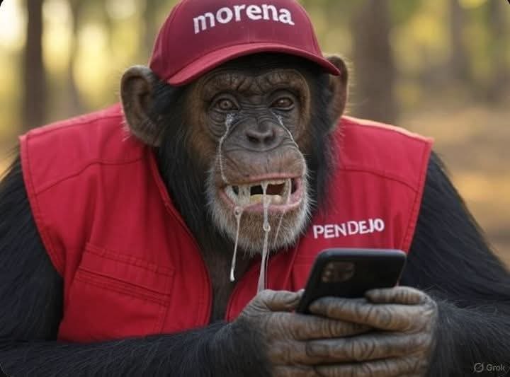 Maribel Peña (@mibreal26) on Twitter photo <a href="/MexicoalDerecha/">México a la Derecha</a> <a href="/Alexjandro_n/">Alexjandro58</a> Pero ez d ke los jueces que eligió el puevlo, son onestoz y no como los otros neoliberales <a href="/MexicoalDerecha/">México a la Derecha</a> <a href="/Alexjandro_n/">Alexjandro58</a> Pero ez d ke los jueces que eligió el puevlo, son onestoz y no como los otros neoliberales