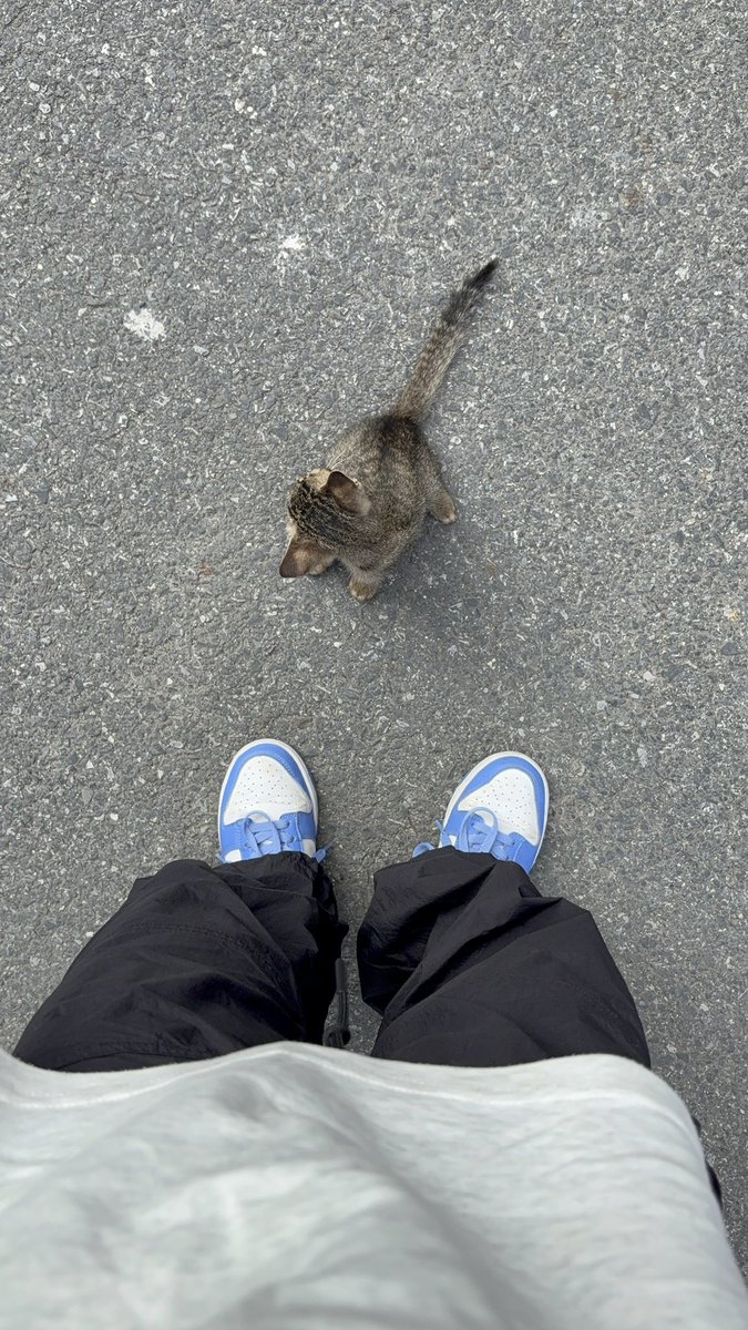 AAA专业女同 tweet media