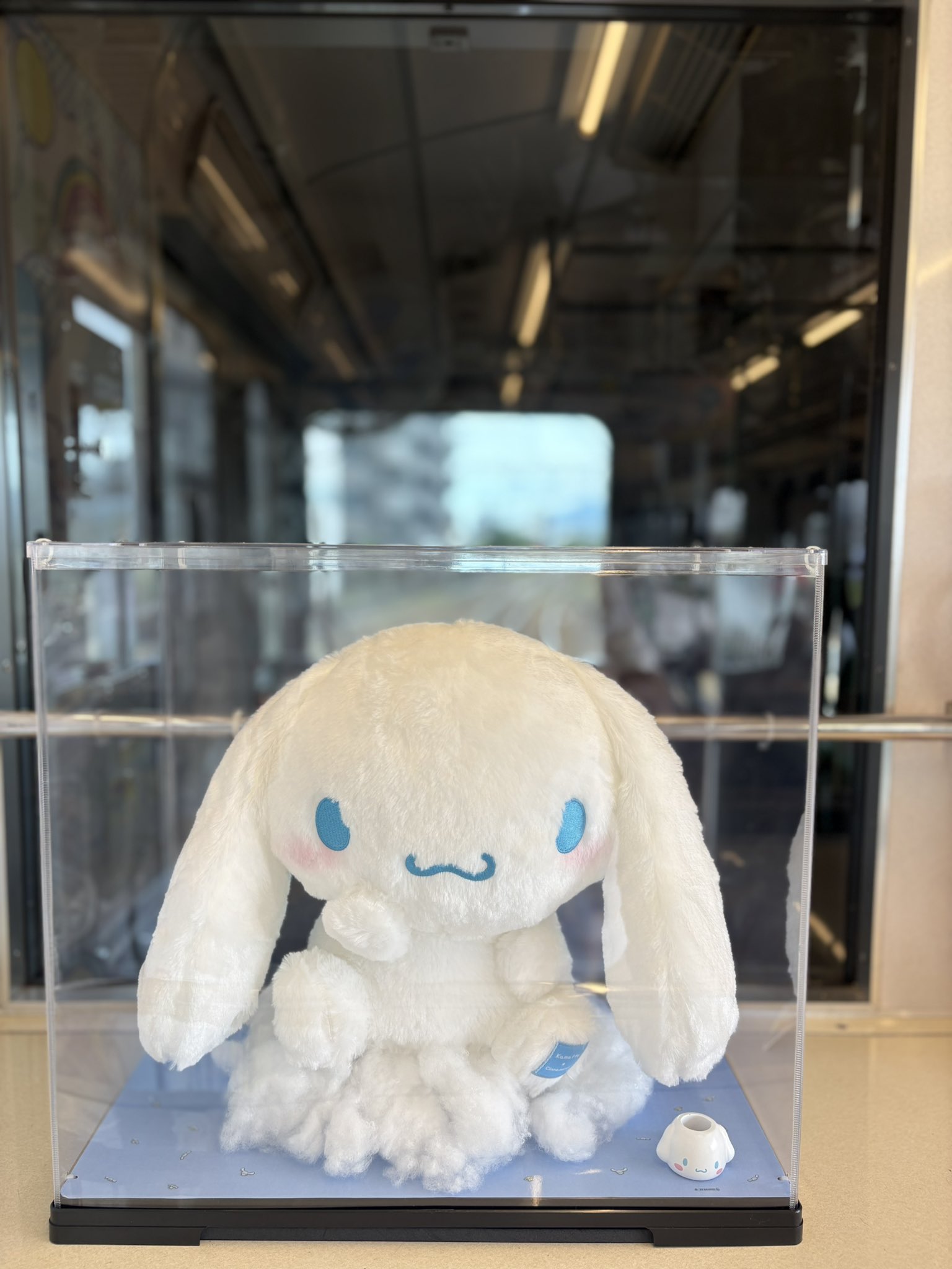 シナモン•*¨*•.¸♬︎ くむねーさん on X: