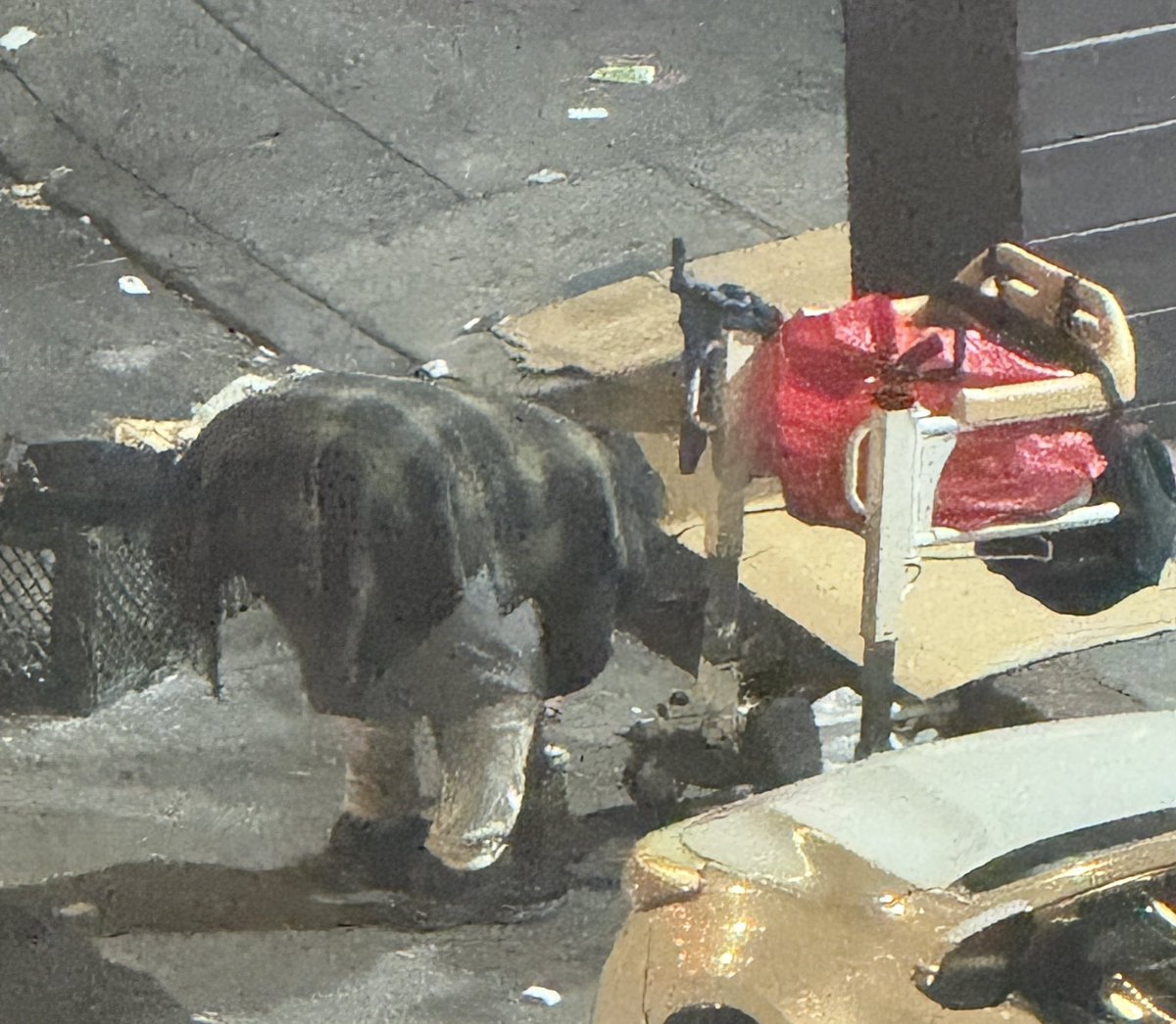 Citizenj17 ✝️🇺🇸 tweet media