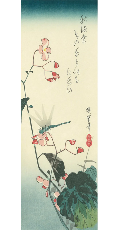 ukiyoe_adachi's tweet image. 本日は #秋分の日。空が秋めいてきましたね。#広重 が描いた #秋海棠 の花と #トンボ。添えられた句は「秋海棠 その葉は何を 片思ひ」。秋海棠は秋の季語。左右非対称な葉の形から「片思い」を連想したのでしょうか。中国には、恋人と引き裂かれた女性の涙から咲いた花だという逸話もあるそうです。