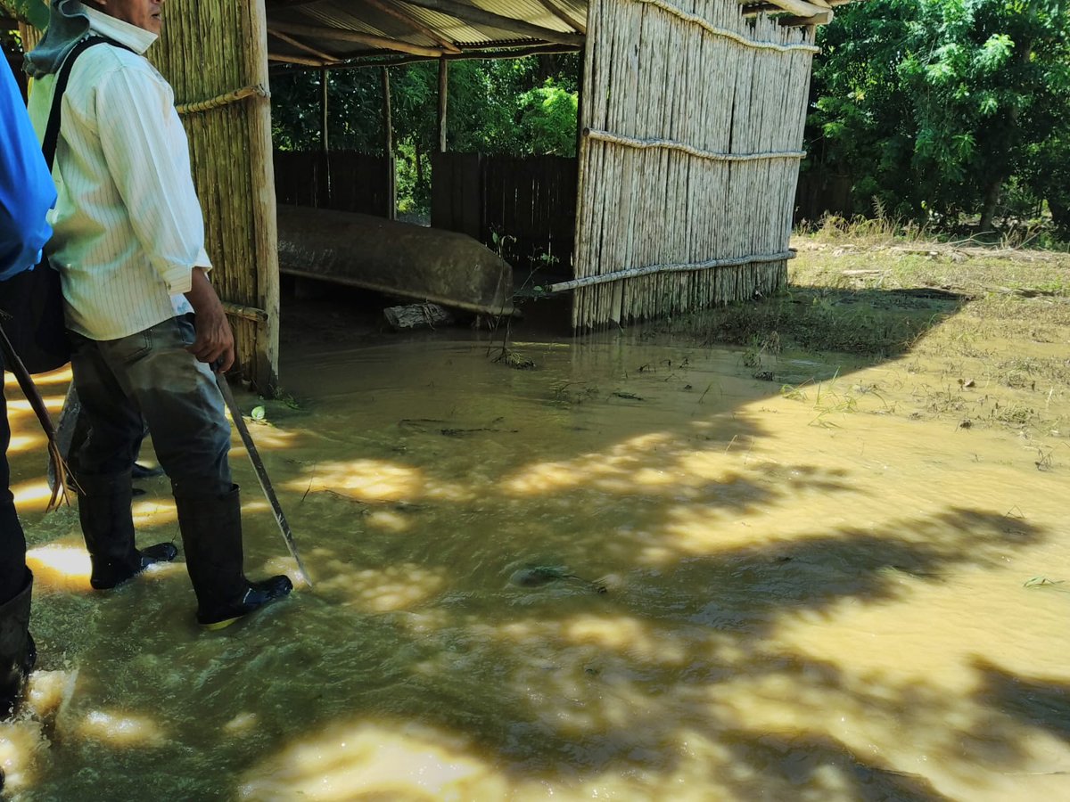 ConredGuatemala's tweet photo. #AltaVerapaz A través de los #COCODES se realizó Evaluación de Daños y Análisis de Necesidades (EDAN) en viviendas afectadas por inundación registrada en caserío Se Olaya, Panzós, Alta Verapaz.
Fotografías: Sistema CONRED. https://t.co/tYhxVATiSa