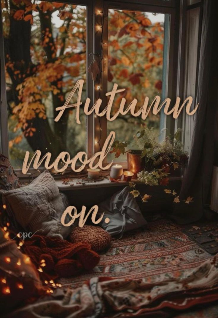 AmyTx8's tweet image. 🍂🍁🧡💛🤎🎃🎃🎃🤎💛🧡🍁🍂
My beloved Delicious Autumn is back!!! 🥰 #FirstDayOfFall
🍂🍁🧡💛🤎🎃🎃🎃🤎💛🧡🍁🍂