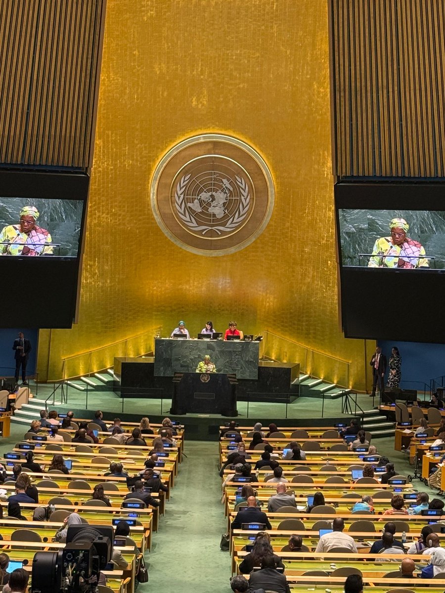 Namibia closed 81.1% of its gender gap, 1st in Africa, 8th globally, H. E. Netumbo Nandi-Ndaitwah said at Beijing+30 in New York. Women hold key roles, but rural women face economic challenges. Namibia renews commitment to end GBV and advance SDG 5.