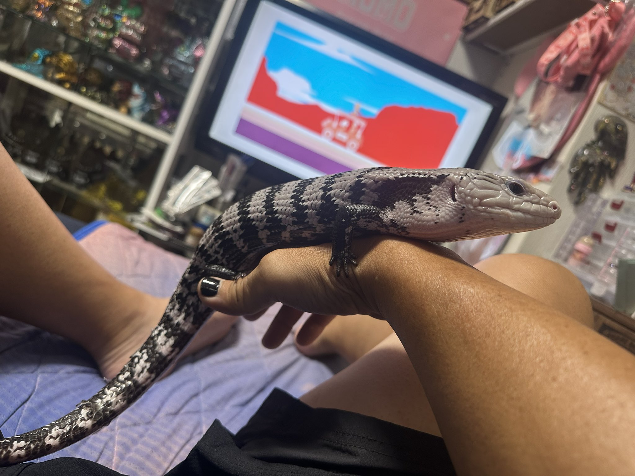 麻生絵夢ページ 麻生絵夢 (@AsoEmu) / X