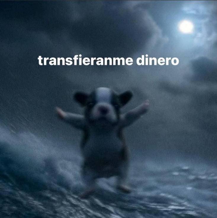 ketchupgamer11's tweet image. $1000 @PhoenixArenaGG Trios Pro x am x detri #Champs w/@WVasilyw &amp;amp; @xRhaeny y el mejor sub @Symsi_ 🏆
Se lo dedico a @OnFamily_PR @Quezadawz @vGeraa