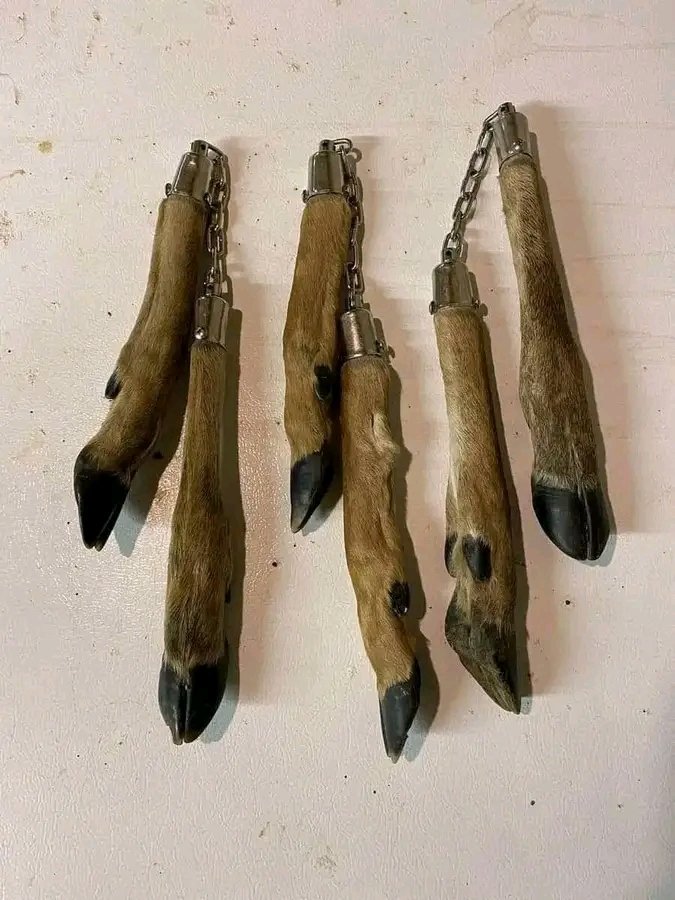 Nimeingia kwa nyumba ya morio wangu nikapata amehang hizi kwa ukuta😂What are they for before nianze kuwa suspicious 😂💔