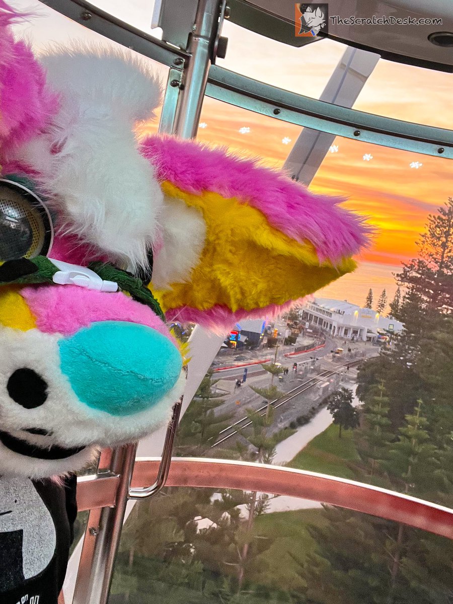 DeskScratch's tweet image. Thank you all for such an amazing #WAFF2025 !! See you all next year!

-Scratch 🩷