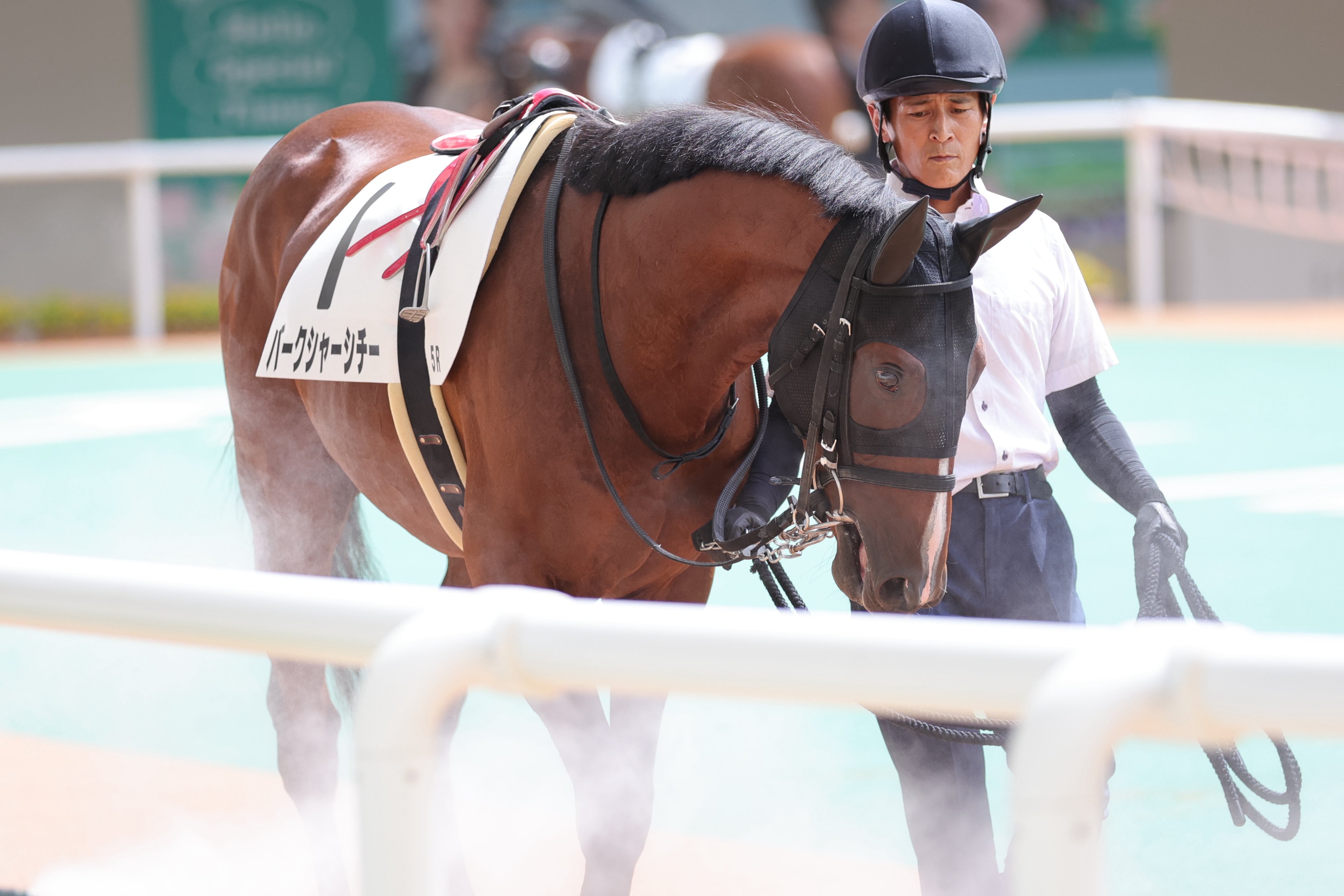 キョウトシチー　友駿ホースクラブ　ドバイワールドカップ　スタジャン　レア　希少 友駿ホースクラブ 愛馬会
