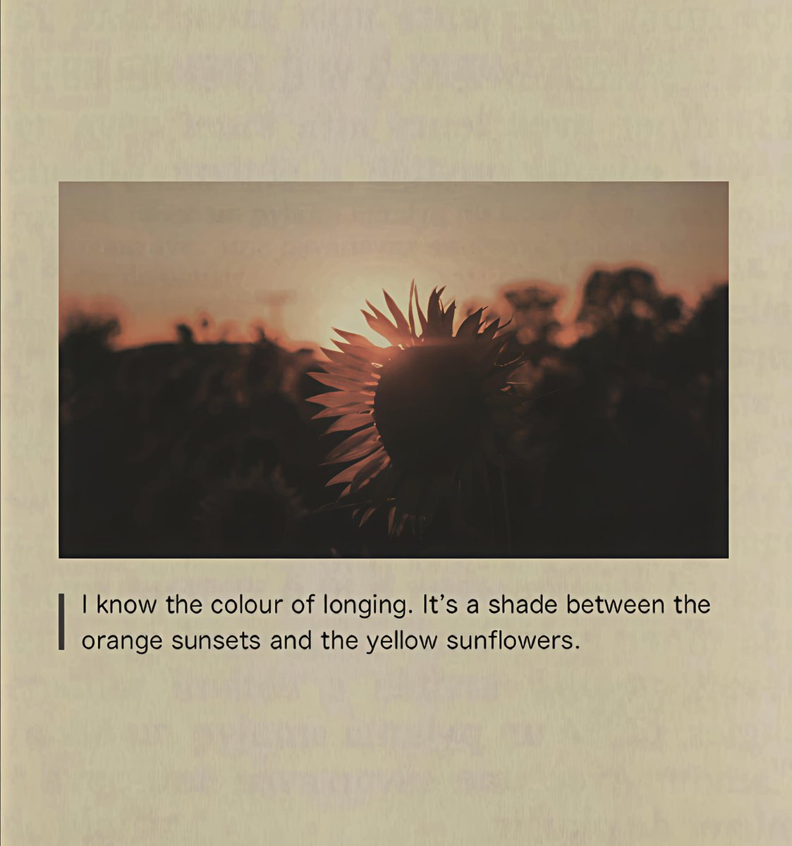 #poetry #poems #poets #honeybees #author #poetrychallenge #poem #poetic #poetryreading #foryou #viral #art #love #honesty