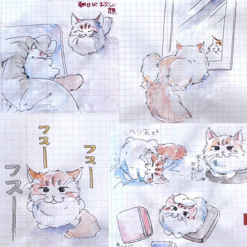小井湖イコ (@cicico3o) / X