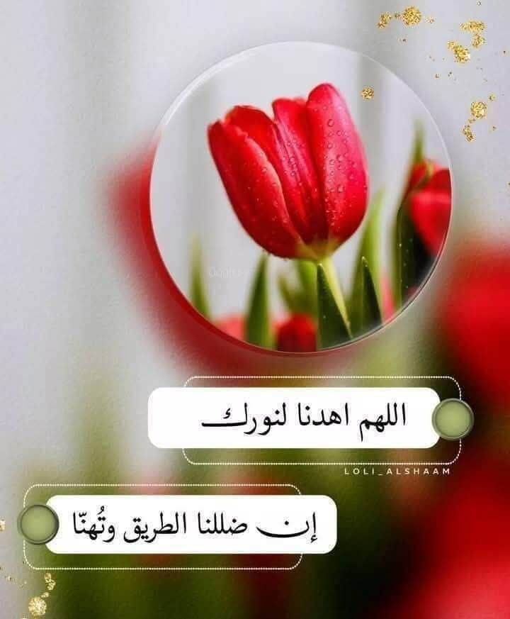 اللهم بداية ترضيك 
وحقك يا الله نوفيك
ومن وفر نعمتك نشكرك ونهديك
ودعاء نلوذ بك فيه ونرتجيك 
فلا تتركنا لأنفسنا واهدنا 
وراضنا وارضى عنا يا رب ..🌹
