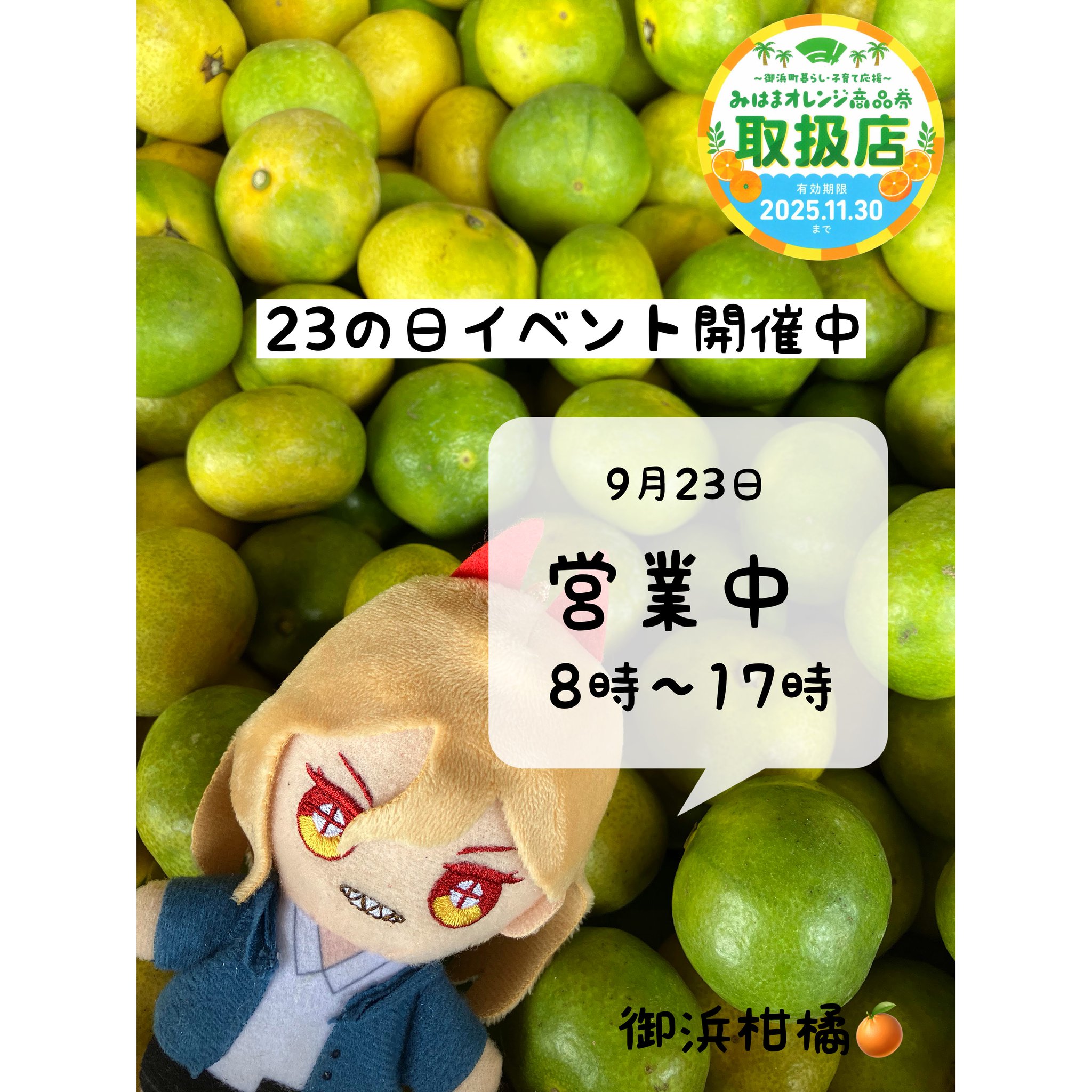 専用。ラスト♥みかんレア♥１２重ガーゼちびブランケット☆ぱんだ祭♥ こだわりみかん”の御浜柑橘 on X: 