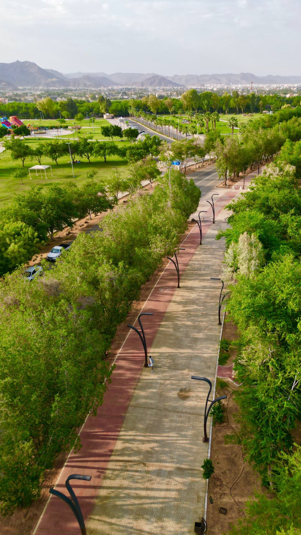 بطولة الأميجين