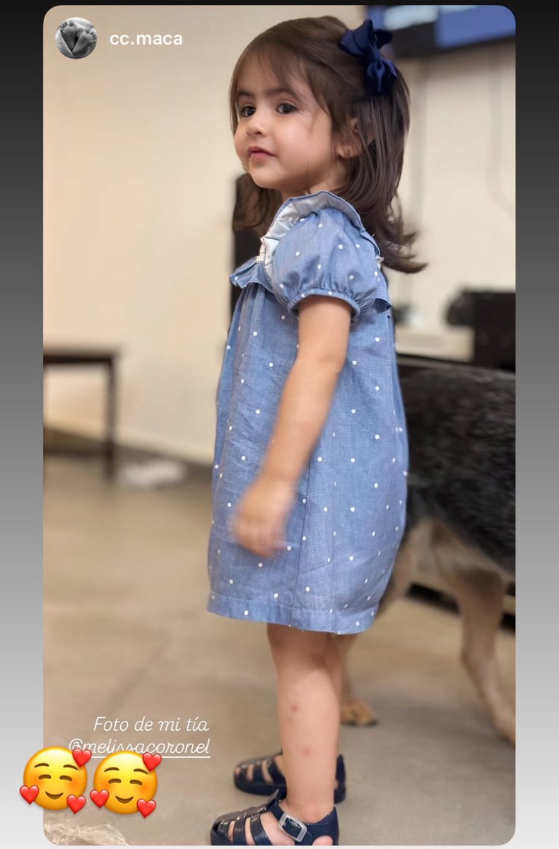 Yasis_AG's tweet photo. MACARENAAAAAA🌸🌸🌸 hermosaaa! Wow! Está grandota 🥹😍 https://t.co/ffTGdPS3yu