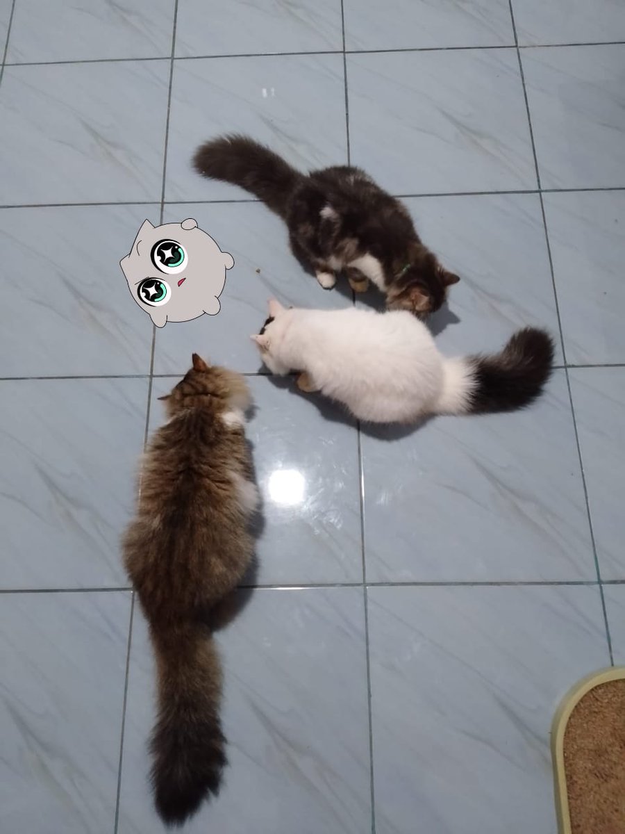 This sprite is watching my cats eating 👀. Probably he wants to give me Prove of Pets

<a href="/irys_xyz/">Irys (✧ᴗ✧)</a> #irys