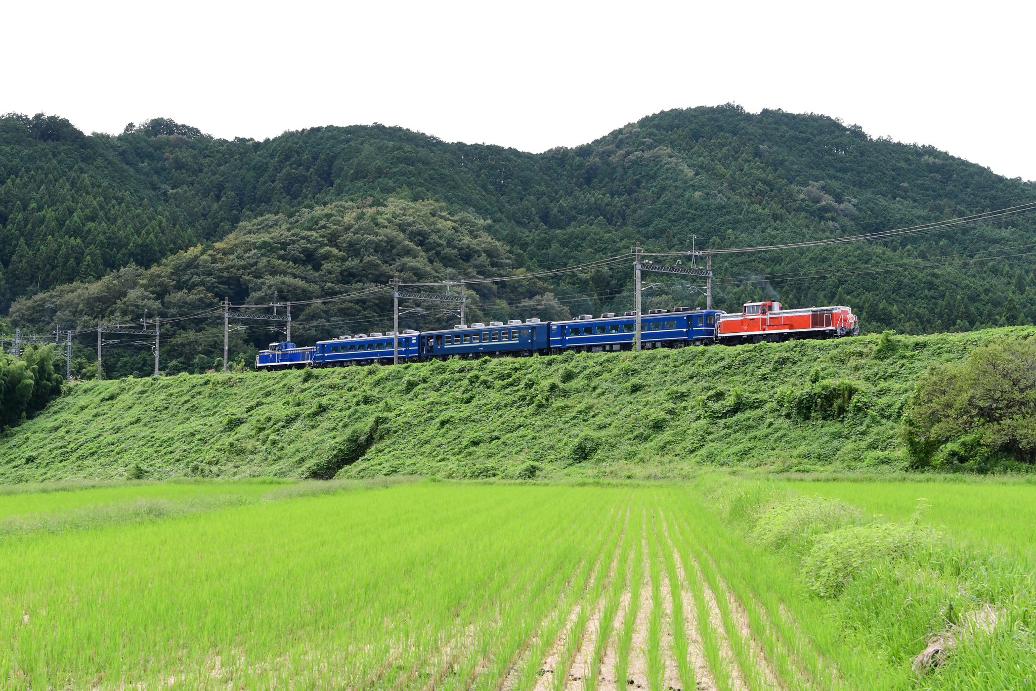 まっさん⭐︎専用ページ むさっしー (@musasino231) / X