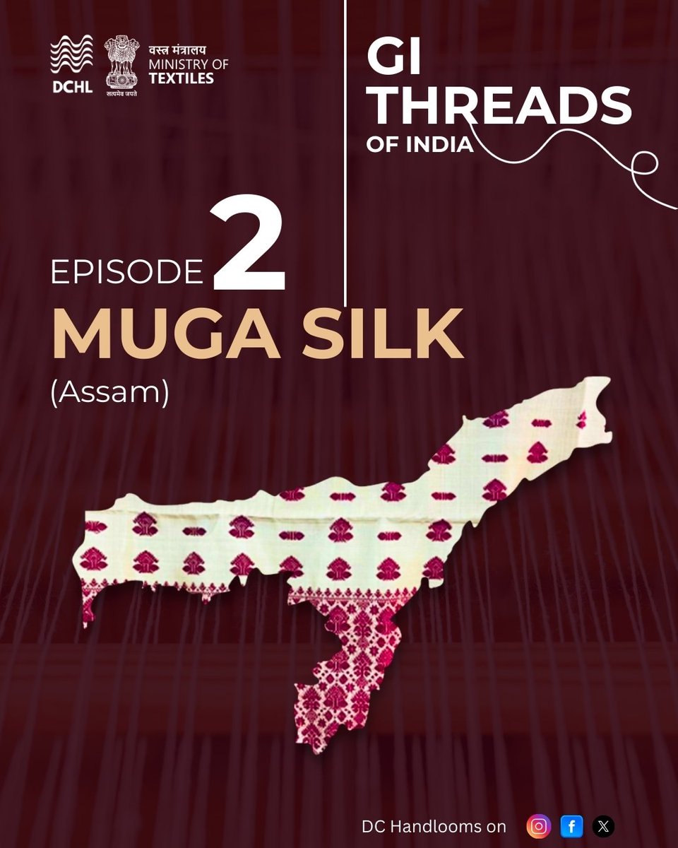SksproSanjeev's tweet image. They say gold melts...but, Muga silk doesn’t.
It grows- thread by thread, leaf by leaf, under the skies of Assam

#ministryoftextiles #dchandlooms #myhandloommypride #myproductmypride #gitag #vocalforlocal #sustainable #sustainability #handlooms #culturalheritage
@handicraftsdc