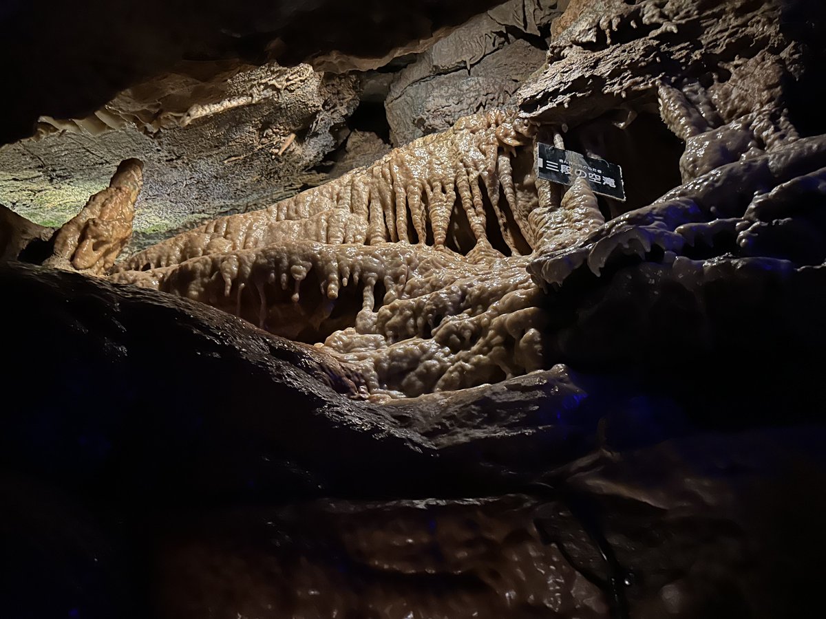 Sᴀʀᴀ@ Sʜɪɴʀʏᴜ 🜸 on X: 