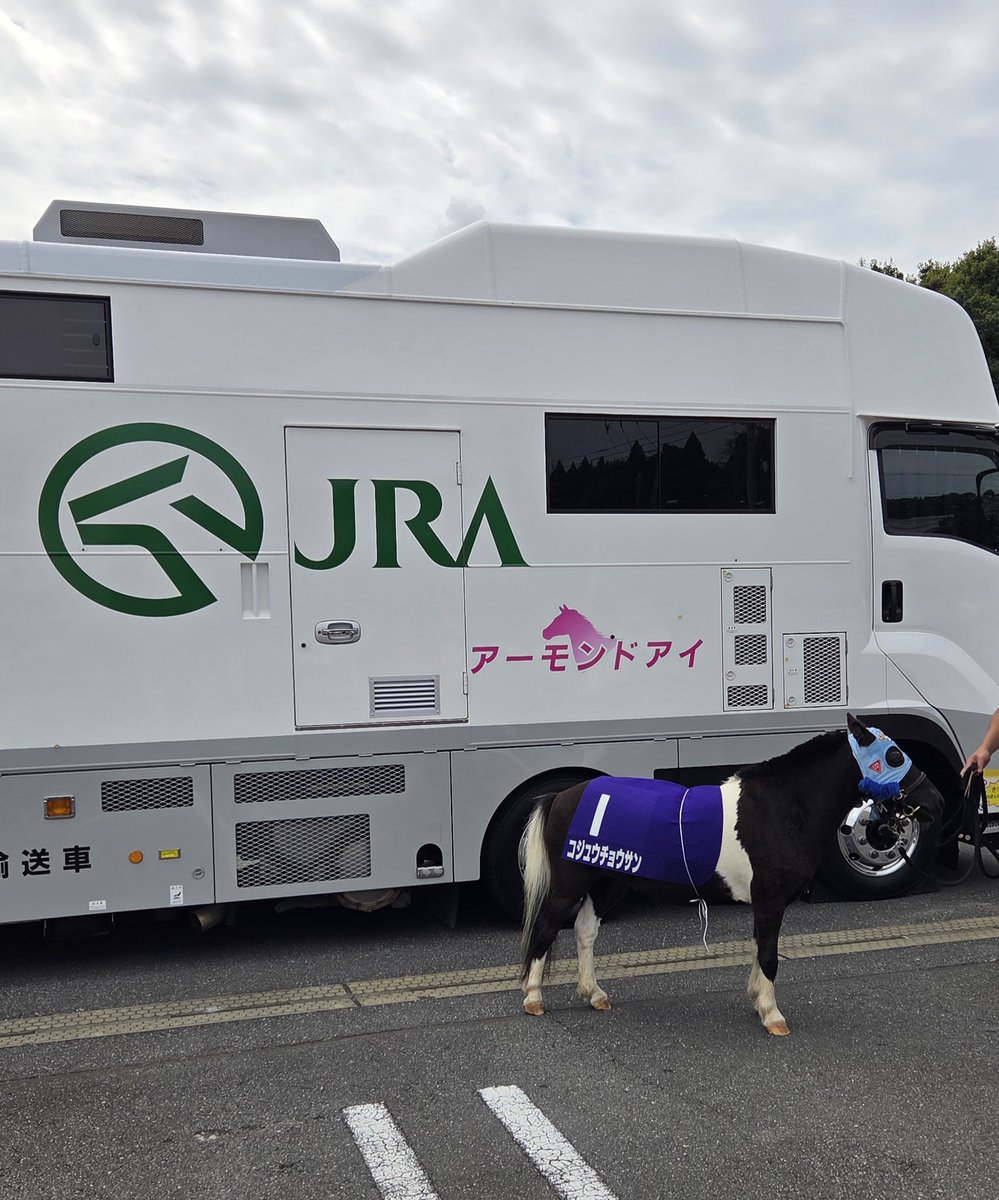 NBahitsu's tweet image. 『美浦村UMAフェスタ』
ただいま開催中です🌟
ぜひお立ち寄りください🚛💚
コジュウチョウサンも遊びに来てくれました🐴♪
※うちわの配布は終了致しました。