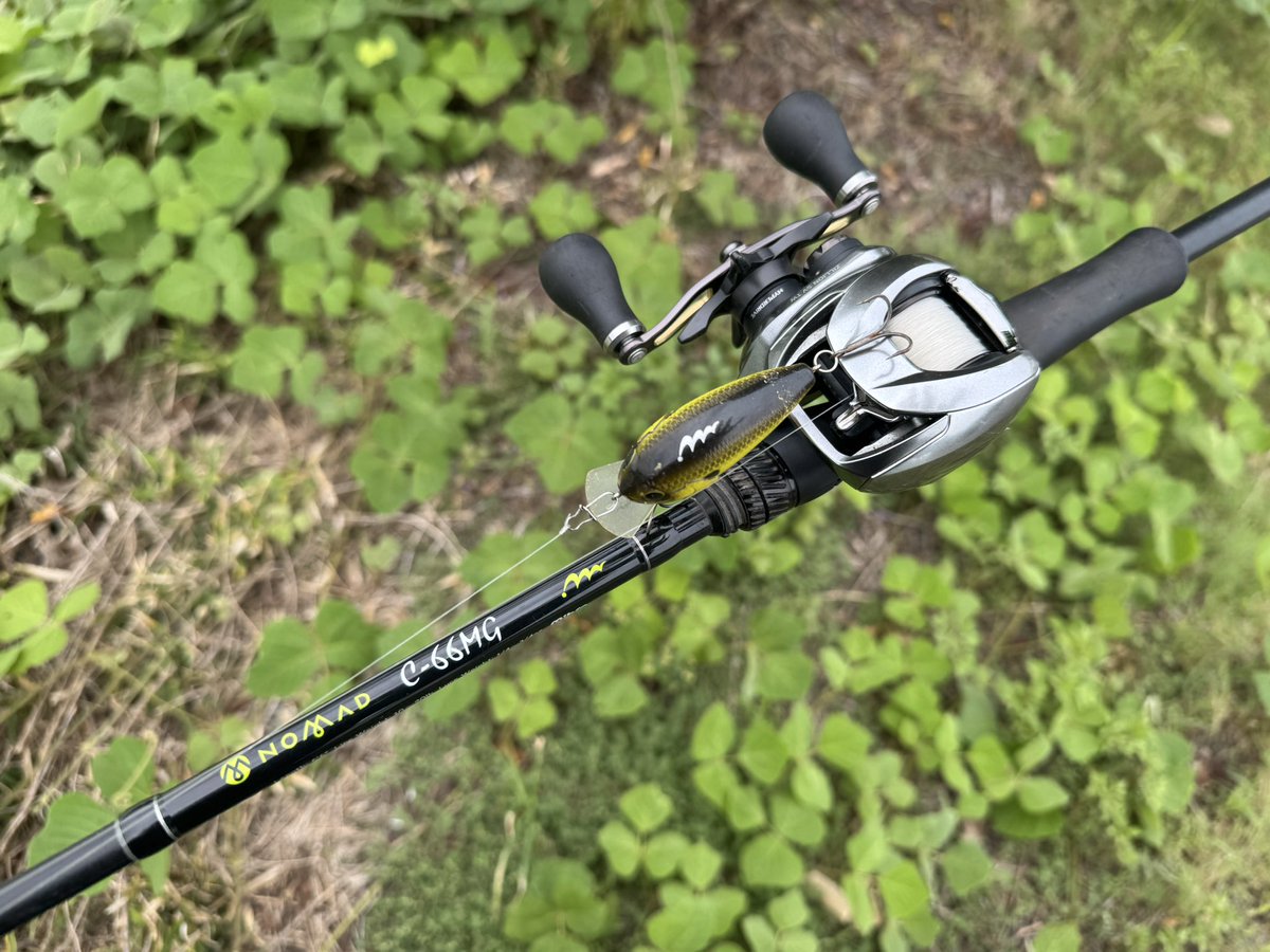 久々にクランクを巻きに来た
状況が全くわからないんで釣れないだろうな